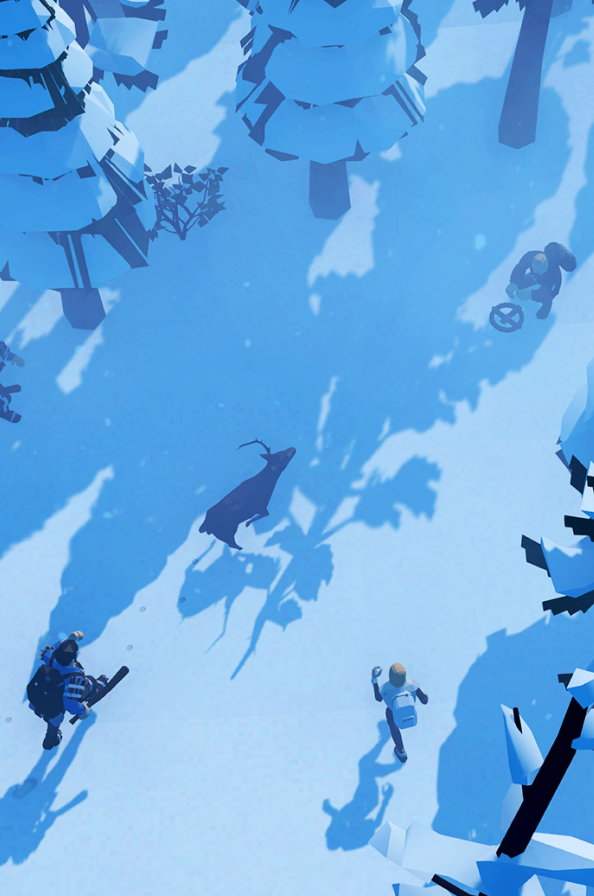 The Wild Eight cover